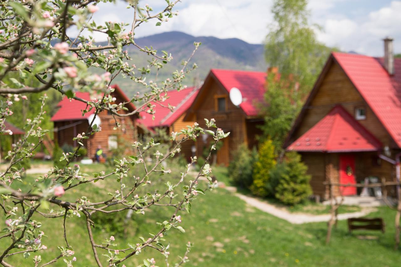 Teremok Guest House Vyshka Luaran gambar